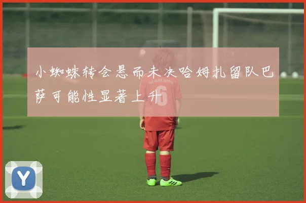 小蜘蛛转会悬而未决哈姆扎留队巴萨可能性显著上升